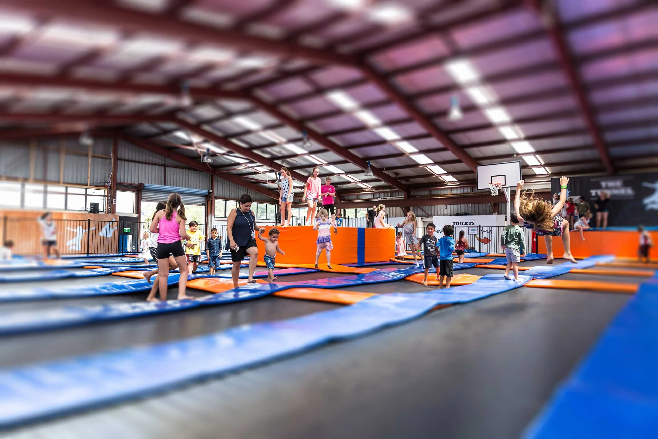 Gravity NZ Trampoline Park in Auckland, New Zealand