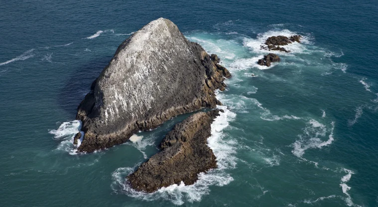 Muriwai Beach & Gannet Colony in Auckland, New Zealand