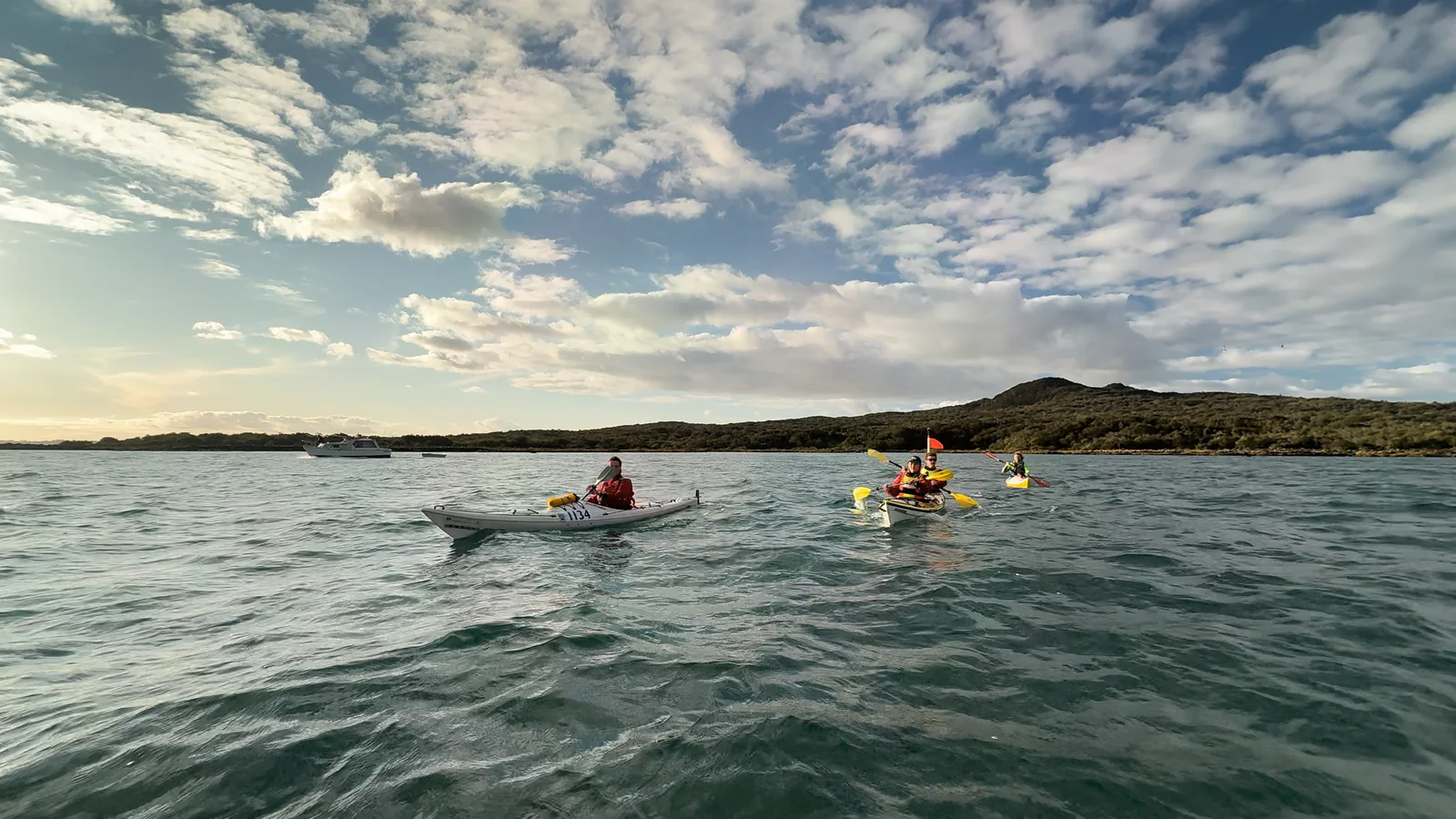 Fergs Kayaks Auckland in Auckland, New Zealand