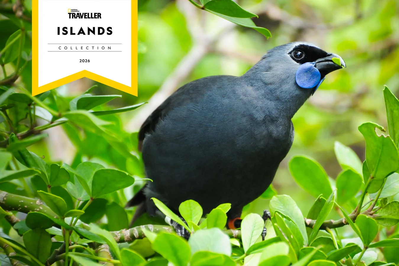 Tiritiri Matangi Island Sanctuary in Auckland, New Zealand