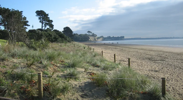 Long Bay Regional Park in Auckland, New Zealand