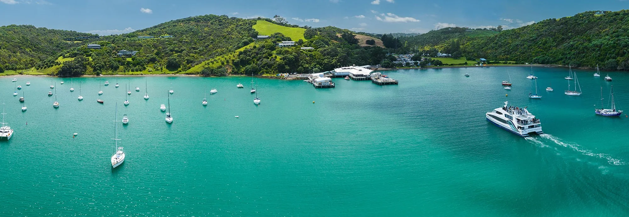 Waiheke Island Wine Tour in Auckland, New Zealand
